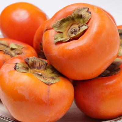 ふるさと納税 すさみ町 和歌山産富有柿ご家庭用約7.5kg(サイズおまかせまたは混合)【すさみ町】 |  | 01