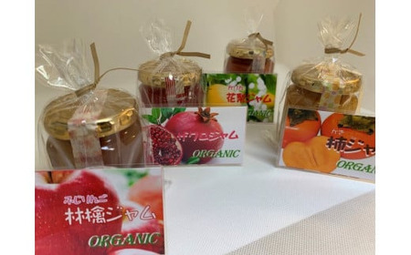 フルーツジャム 手作り 季節のフルーツ 朝食 ギフト お土産 プレゼント 加工品 調味料_0052-001-se5