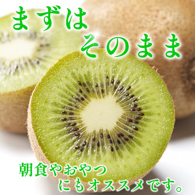 訳あり キウイフルーツ 9~12玉 1kg きうい キウイ フルーツ 果物 くだもの お取り寄せ 人気 おすすめ 徳島県 送料無料 徳島青果
