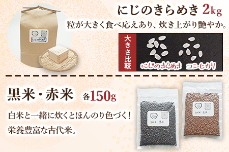 ＜古代米も入った！やまこのうえんのお米 4種類食べ比べセット 合計5.3kg＞ お米 コメ ご飯 ライス 穀物 こしひかり コシヒカリ にじのきらめき 古代米 黒米 赤米 食べ比べ 特産品 やまこのう