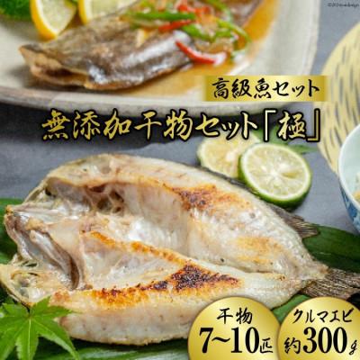 ふるさと納税 島原市 生原料にこだわった干物セット「極」BE120