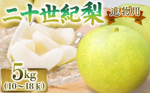 二十世紀梨【進物】5kg（有梨の実　石田） 鳥取 梨 果物 フルーツ 和梨 二十世紀梨 20世紀梨 人気 甘い 進物 贈答用 赤秀