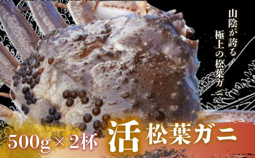 【配送日時指定可能！】松葉ガニ500g×2杯〈活〉松葉ガニ マツバガニ 冬の旬。贅沢の極みをご家庭で松葉ガニ 松葉カニ マツバカニ タグ付き カニ 蟹 新鮮 旬 プレゼント 贈与 お祝い事 贈り物 年末年始 祝辞 隠岐 西ノ島町