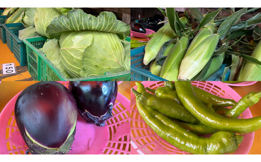 【 8月下旬発送開始 】 嬬恋キャベツ と旬の 高原 野菜 セット 1～2人 様向け 旬の野菜 先行予約 キャベツ 群馬 419 嬬恋キャベツ 産地直送 少量 詰め合わせ アソート [AK001tu]