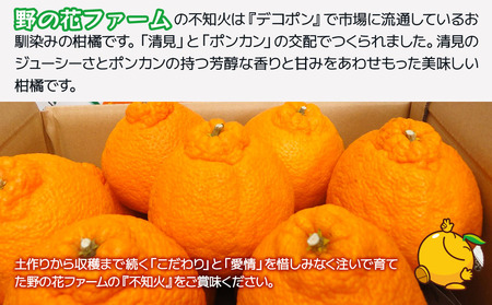 【先行予約・数量限定】野の花ファーム 不知火 5kg 手選別完熟 みかん ミカン オレンジ フルーツ 柑橘類 大分県産 九州産 津久見市 国産【tsu002803】