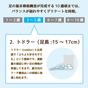 【株式会社 村井】キッズインソール２　トドラー専用3～5歳