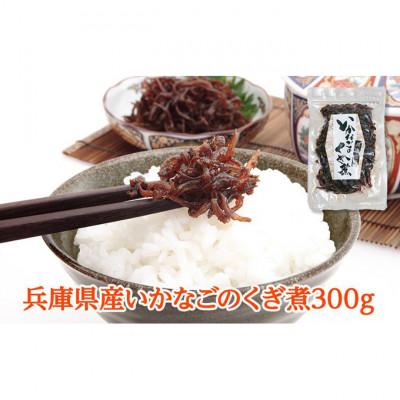 ふるさと納税 姫路市 いかなごのくぎ煮 300g[53651005]