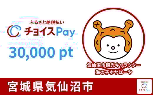 
            気仙沼市チョイスPay 30,000pt【会員限定のお礼の品】
          