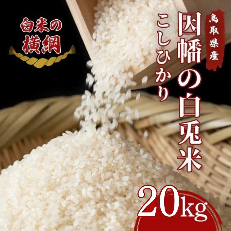 
            因幡の白兎米 コシヒカリ 令和7年度産 精米済 20kg（5kg×4袋）
          