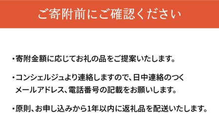 【糸島市コンシェルジュ】返礼品おまかせ！寄附額100万円コース[AZZ002] コンシェルジュ お任せ 返礼品 まとめ 年末 肉 魚 米 野菜 後から選べる あとから選べる 寄附 寄付 後から寄附 あ