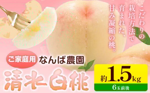 桃 もも【2025年先行予約】ご家庭用 清水白桃 約1.5kg ( 6玉 前後 ) 《2025年7月上旬-8月中旬頃出荷》なんば農園 岡山県 浅口市 フルーツ モモ 果物 青果 旬 白桃 桃 訳アリ わけあり 訳あり【配送不可地域あり】