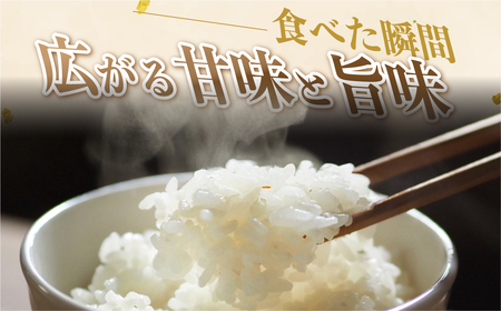 【5kg：12月発送】《令和8年産 新米》こしひかり 5kg 米