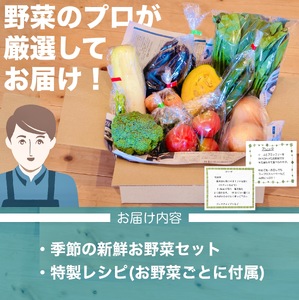 【 野菜 】 野菜7から8種