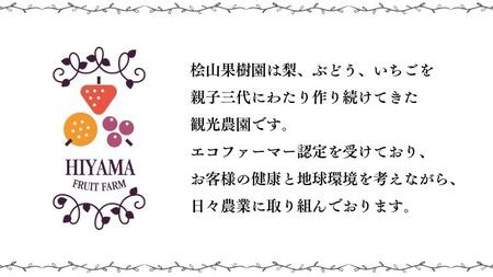 【 先行予約 】 茨城県産 シャインマスカット2房と旬の梨詰め合わせ 約3kg【茨城県共通返礼品／常陸太田市】 桧山果樹園 農家直送 桧山果樹園 農家直送 フルーツ 甘い 直送 茨城 限定 ギフト ぶ