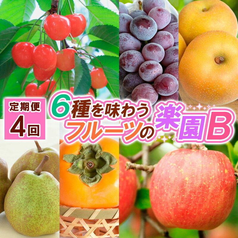 【ふるさと納税】【定期便4回】6種を味わうフルーツの楽園B【令和8年産先行予約】FS25-622 くだもの 果物 フルーツ 山形 山形県 山形市 お取り寄せ 2026年産