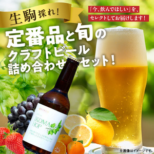 IKOMA BEER 季節のおまかせ2本セット クラフトビール 地ビール 生駒ビール 詰め合わせ 季節のおまかせ ビール 贈り物 プレゼント 飲み比べ 醸造 飲みやすい フルーティー 香り豊か 家飲み
