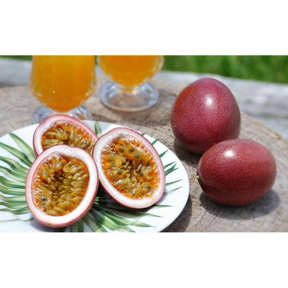 【ふるさと納税】【2026年発送分 先行受付】パッションフルーツ 化粧箱15個入り(M玉)×3箱【たけはら農園】