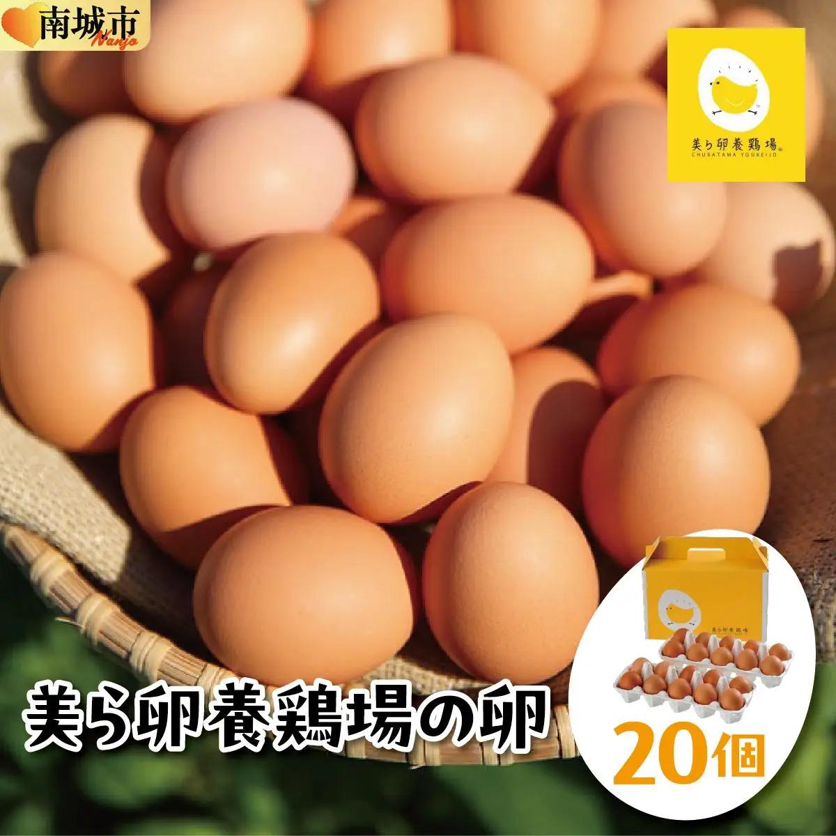 美ら卵養鶏場の卵 20個【順次配送】   