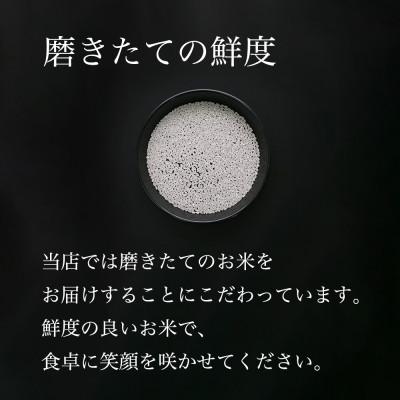 ふるさと納税 南魚沼市 【毎月定期便】南魚沼産コシヒカリ　精米　5kg全6回 |  | 03