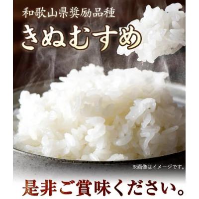 ふるさと納税 紀の川市 前田農園のキヌムスメ 10kg 5kg×2 和歌山県紀の川市【白米】 |  | 01