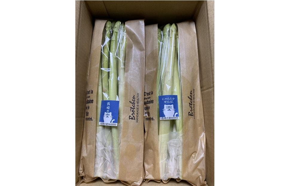 【先行予約】春アスパラガス 2kg Lサイズ以上 2026年1月下旬頃より発送