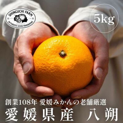 【ふるさと納税】創業百八年 愛媛みかんの老舗【八朔5kg】家庭用【新口農園】【C70-28】【1470659】