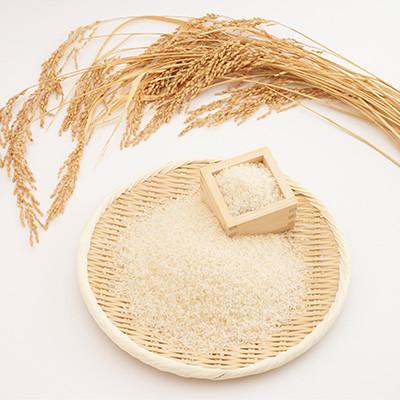 ふるさと納税 多古町 【毎月定期便】たこまいらいふ萩原農場の多古米コシヒカリ(精米)5kg全3回 |  | 02