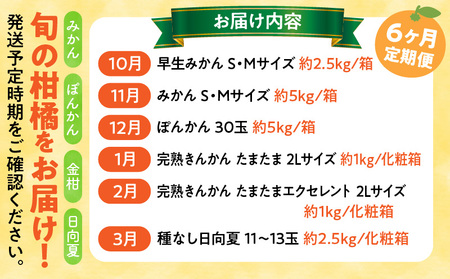 《2026年発送先行予約》【数量・期間限定】【定期便】宮崎市柑橘特産6ヶ月コース みかん ぽんかん 金柑