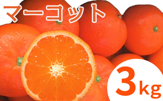 
                  マーコット(ハウス栽培) 唐津産 3kg
                