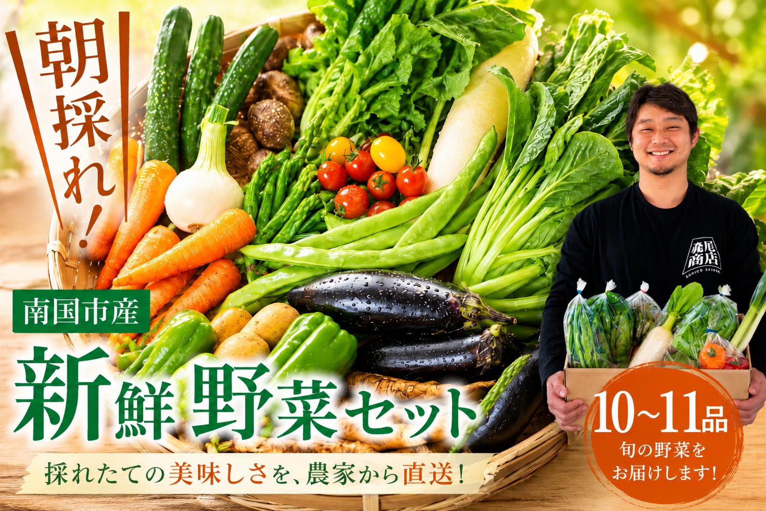 
                  朝採れ新鮮！野菜セット(10～11品) | 野菜セット 新鮮 野菜 人気 季節の野菜 おすすめ 森尾商店 高知県 南国市
                