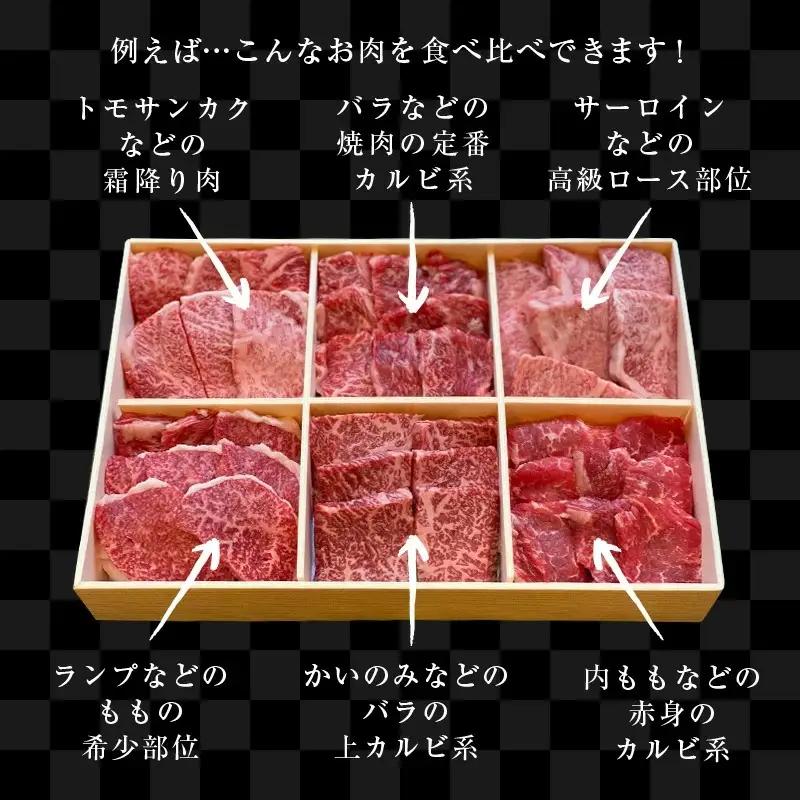 【5月中の発送】佐賀牛希少部位100g×6種類(合計600g) にくのともる厳選 焼肉用 A5～A4等級 食べ比べ ギフト キャンプ