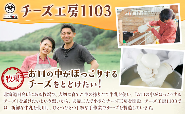 【お中元のし付き】しぼりたて牛乳アイス100g×8個 チーズ工房1103 お中元のし付き  アイス アイスクリーム 《90日以内に出荷予定(土日祝除く)》ミルクアイス 牛乳アイス デザート スイーツ 