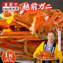 【ふるさと納税】【老舗宿 白浜荘】タグ付き越前ガニ 釜茹で 約0.7kg 1杯 [E-157003]