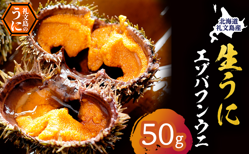 北海道 礼文島産 採れたて ミョウバン不使用 エゾバフンウニ 塩水パック 50g×1個［株式会社やまじょう］【 うに ウニ 雲丹 生うに 塩水うに バフンウニ 滅菌海水 海鮮 うに丼 濃厚 甘み 】
