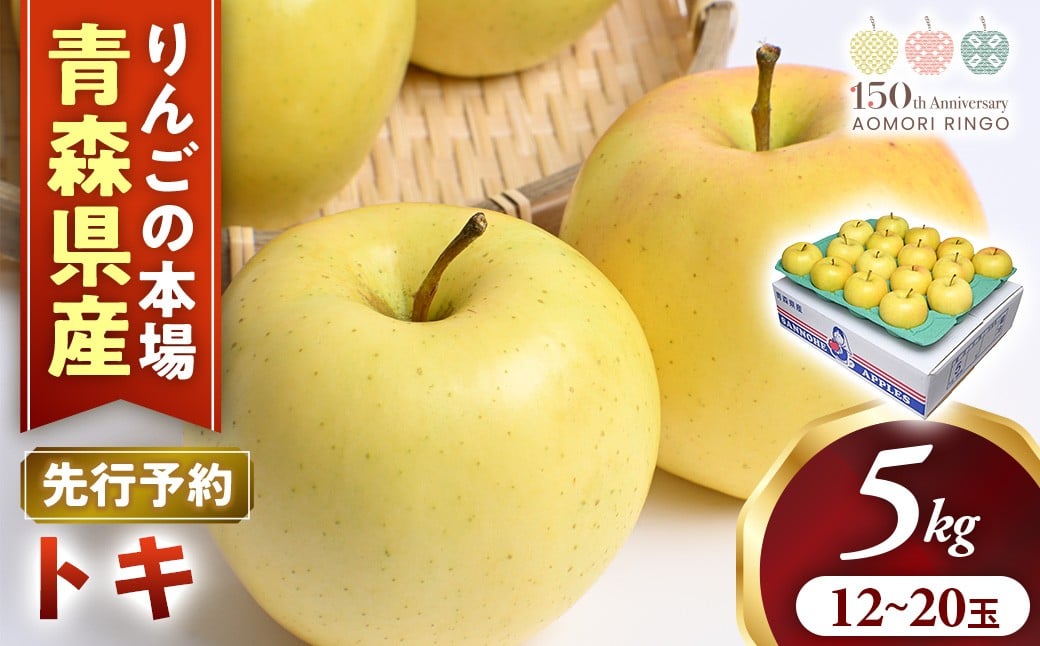 
            【2026年産・先行予約】りんご【トキ】約5kg（12～20玉）★2026年9月下旬～11月上旬頃まで発送予定★ りんご 林檎 リンゴ 国産 トキ 希少 フルーツ 果物 贈答 土産 青森県 三戸町 R0316
          