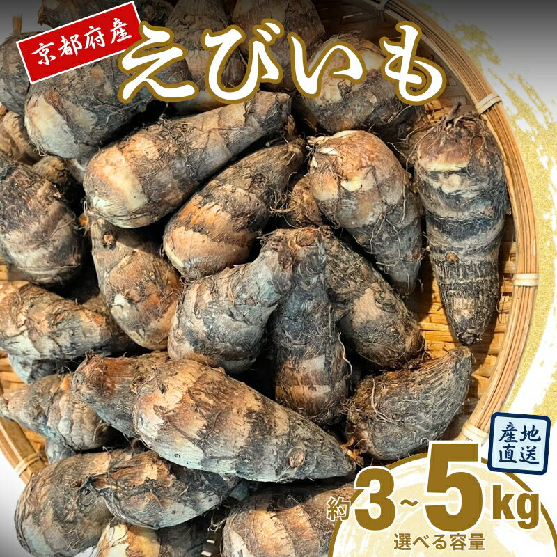【ふるさと納税】えびいも【選べる容量】3kg 5kg 京野菜 高級里芋 おせち 煮物 京都伝統野菜 秋野菜 冬野菜 ねっとり食感 上品な甘み 高級食材 京都産 京田辺市　お届け：11月～12月中旬にお届け