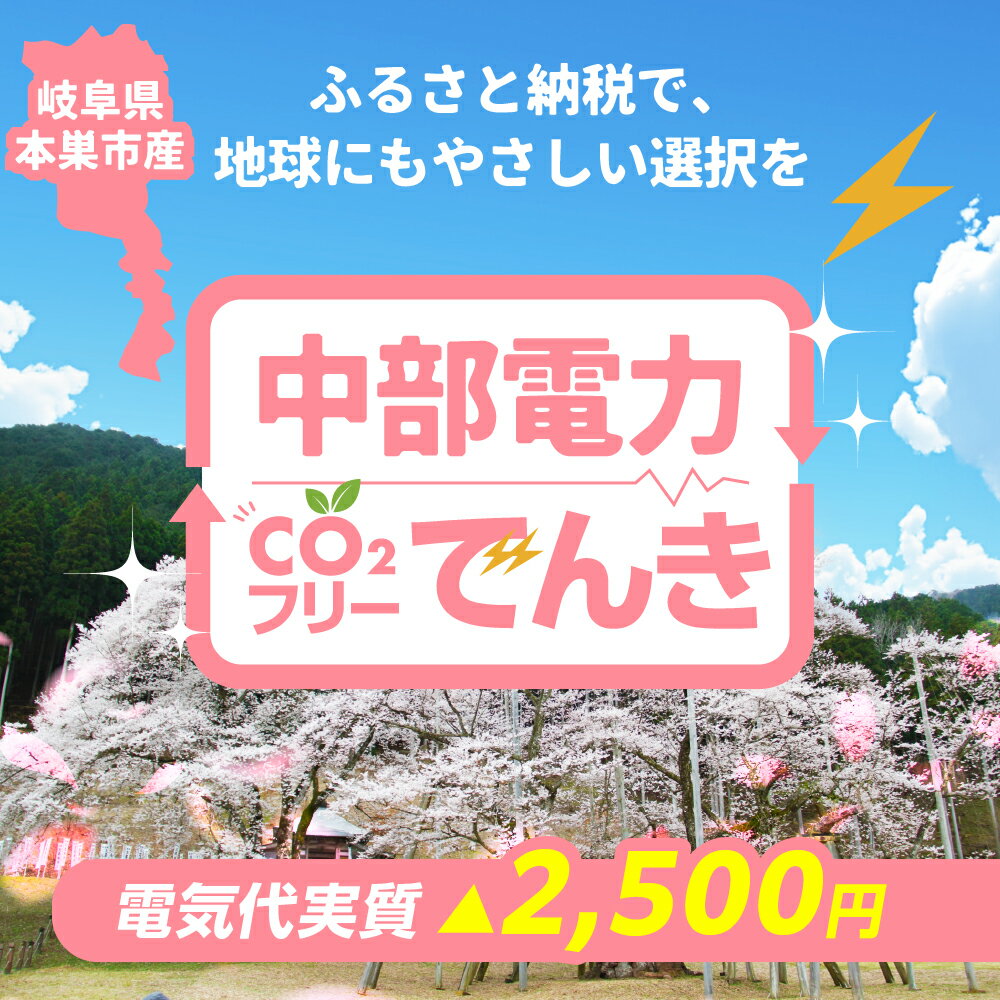 【ふるさと納税】本巣市産 CO2 フリーでんき 10,000 円コース（注：お申込み前に申込条件を必ずご確認ください）中部電力ミライズ 電気 電力 岐阜県 愛知県 三重県 静岡県 長野県 中電 10000円 1万円