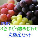 【ふるさと納税】農家直送 3色ぶどう詰め合わせ大満足セット 約4kg入り【先行予約】 | 先行予約 和歌山 果物 くだもの フルーツ シャインマスカット 赤嶺 巨峰 ぶどう 詰め合わせ ブランド 取り寄せ ご当地 期間限定