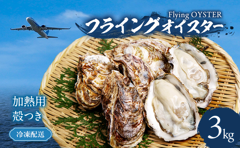 殻付き 牡蠣 3kg 冷凍 加熱用 (約33個〜60個) フライングオイ