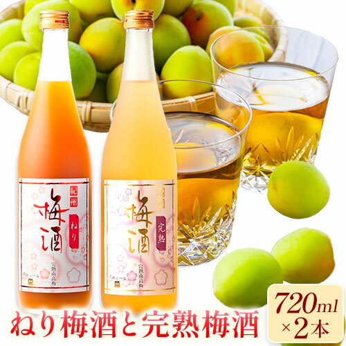 【ふるさと納税】紀州完熟南高梅 濃厚 ねり梅酒と芳醇 完熟梅酒 720ml×各1本 酒のねごろっく《30日以内に出荷予定(土日祝除く)》和歌山県 岩出市 吉村秀雄商店 酒 梅酒 リキュール 飲み比べ 紀州 ねり梅酒 完熟梅酒 南高梅 720ml 1440ml 送料無料