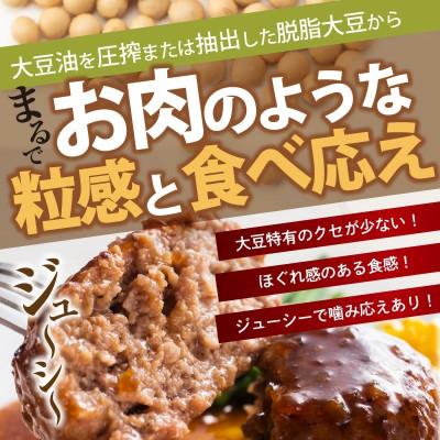 ふるさと納税 上毛町 大豆ミートで作った美味しいデミグラスソースハンバーグ 150g×12個 |  | 02