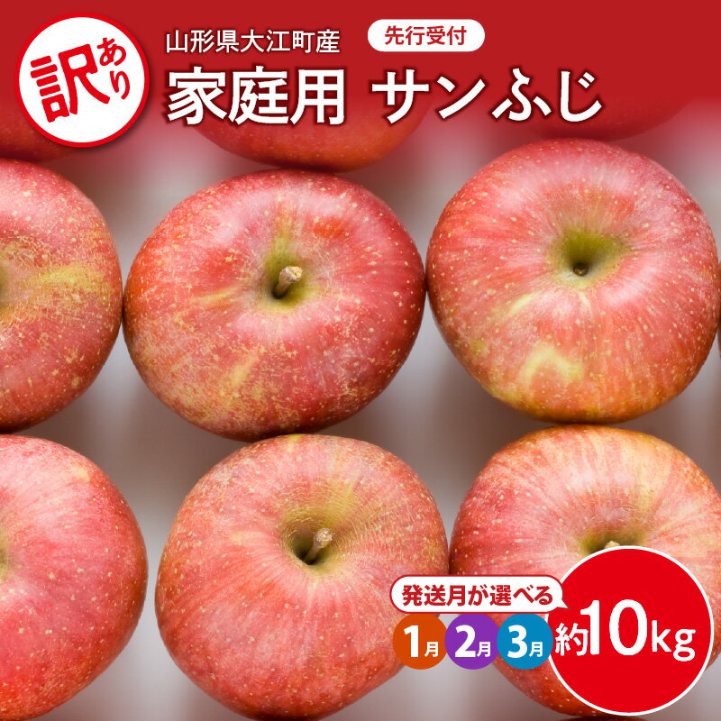 【ふるさと納税】 《先行受付》訳あり 家庭用サンふじ約10kg 選べるお届け時期 1月 2月 3月 【大江町産・山形りんご・大地農産】 大江町産 山形 りんご 大地農産 サンふじ アップル リンゴ 林檎 果物 フルーツ 産地直送 レビューキャンペーン