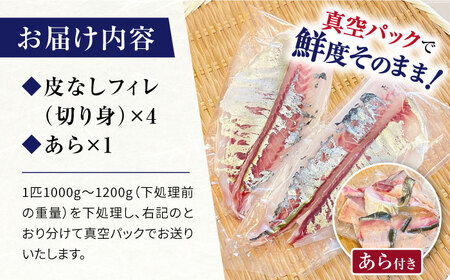 【下処理済み】シマアジの皮なしフィレ4切れ＋あら1つ＜大島水産種苗＞ [CBW006]