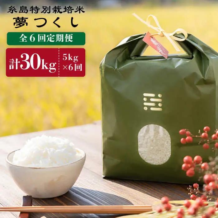 【 6回 定期便 】 とくべつ の中の とくべつ 糸島 特別栽培米 5kg （ 夢つくし ）《 糸島 》【株式会社やました】 [ARJ007]