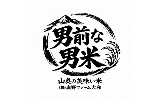 金剛山麓のおいしいお米【令和７年度産ヒノヒカリ３㎏】【精米済】 ／  奥野ファーム 大和金剛山麓 お米 白米 奈良県 御所市