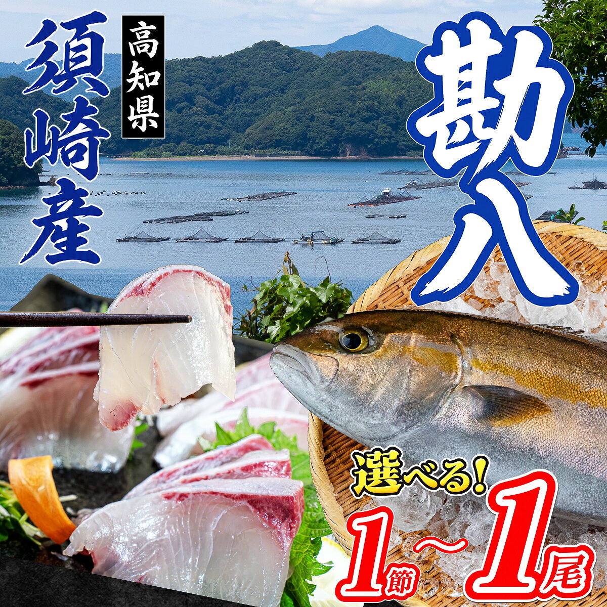 【ふるさと納税】 選べる 須崎勘八 養殖カンパチ 丸ごと1尾 セミドレス フィーレ ロイン 1節 高知県須崎市産 カンパチ かんぱち 勘八 刺身 お刺身用 柵 半身 皮なし スキンレス 下処理済み 神経締め カンパチしゃぶ 漬け丼 海鮮丼 カルパッチョ 魚介 冷蔵 冷凍 産地直送