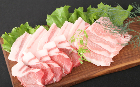 ＜佐賀県産ブランド豚！＞肥前さくらポーク 焼肉食べ比べセット 小分け3種 計1kg / 豚 豚肉 冷凍 豚トロ 肩ロース / 佐賀県 / 株式会社そよかぜ館[41AAAL004]