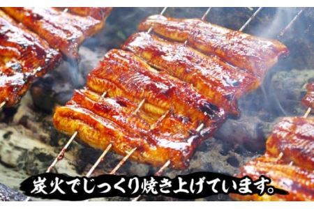 国産炭火焼うなぎ 蒲焼1尾（大串）国産 鰻 1人前 たれ付 山椒付 約80g×2 小分け