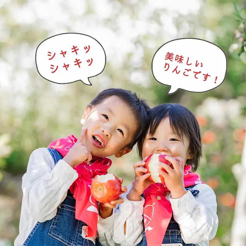 令和8年産 雪室りんご 5kg 「樹上完熟 ふじりんご」 小玉サイズ 2026年産 山形県産 【2027年1月上旬頃から3月頃 発送予定】　020-B-NG002