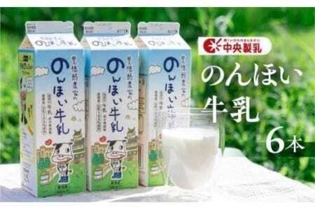  のんほい 牛乳 1L×6本 牛乳 中央製乳